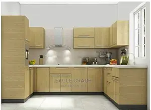 Exotic Kitchen Cabinets