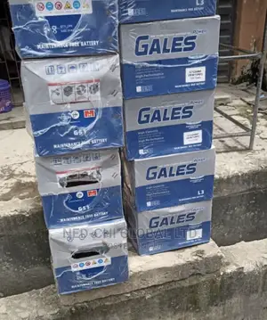 Auto Battery 12volt 75ahs Gales for Cars