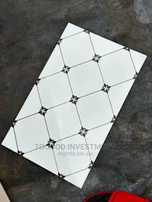 25*40 Wall Tiles