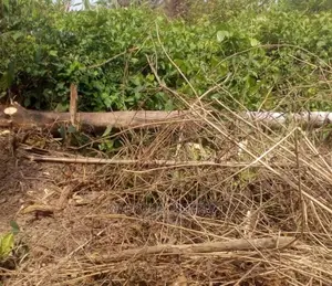 21,000sqms Land Near Ikoyi Towers, Ikoyi for Sale