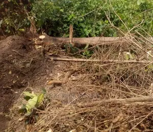 1,200sqm Land at Temple Road Ikoyi, for Sale
