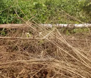 2100sqm Piece of Land at a Close, Off Afribank Str, V.Island
