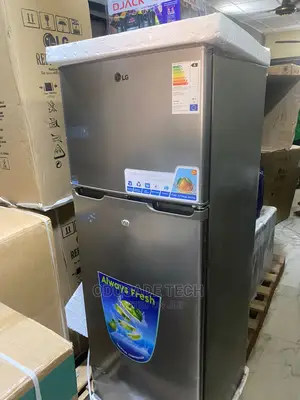 LG 398L Frost- Free Double Door Refrigerator