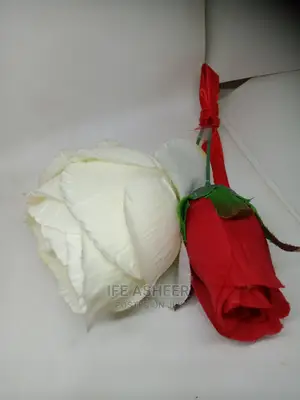 Romantic Simple Flowers in a Fancy Bag 003