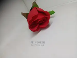 Romantic Simple Flower in a Fancy Bag 004