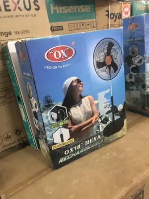 Standing Rechargeable Fan Ox Hexa 18"
