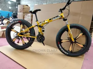 Photo - Fat Tyre Alloyed Wheel Bicycle