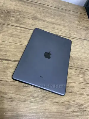 Apple iPad 10.2 (2020) 256 GB Gray