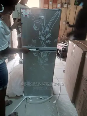 LG Double Door Refrigerator Fast Cooling,Low Voltage,Flower.
