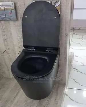 Black Wall Hung Water Closet