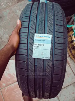 245/55r19 Michelin Tire