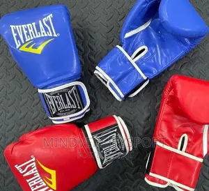 Everlast Boxing Gloves