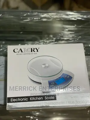 Electronic Kitchen Scale