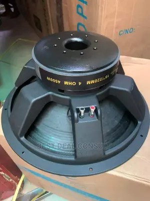 Naked Speakers
