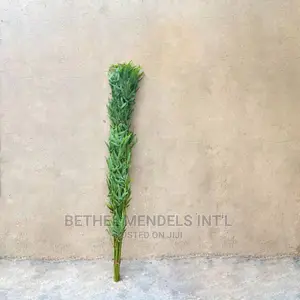 Artificial Tiny Bamboo Stick Plants (10ps/Bunch) | Bulk Sale