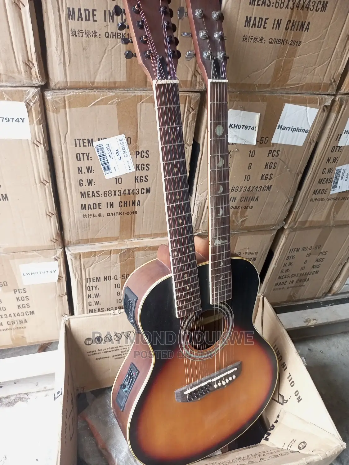 Singer 6 /12 Strings Acoustic Electric Guitar