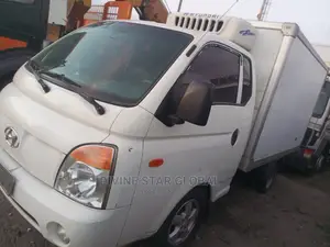 Hyundai Cooler Refrigerator Cool Room Cooling Van
