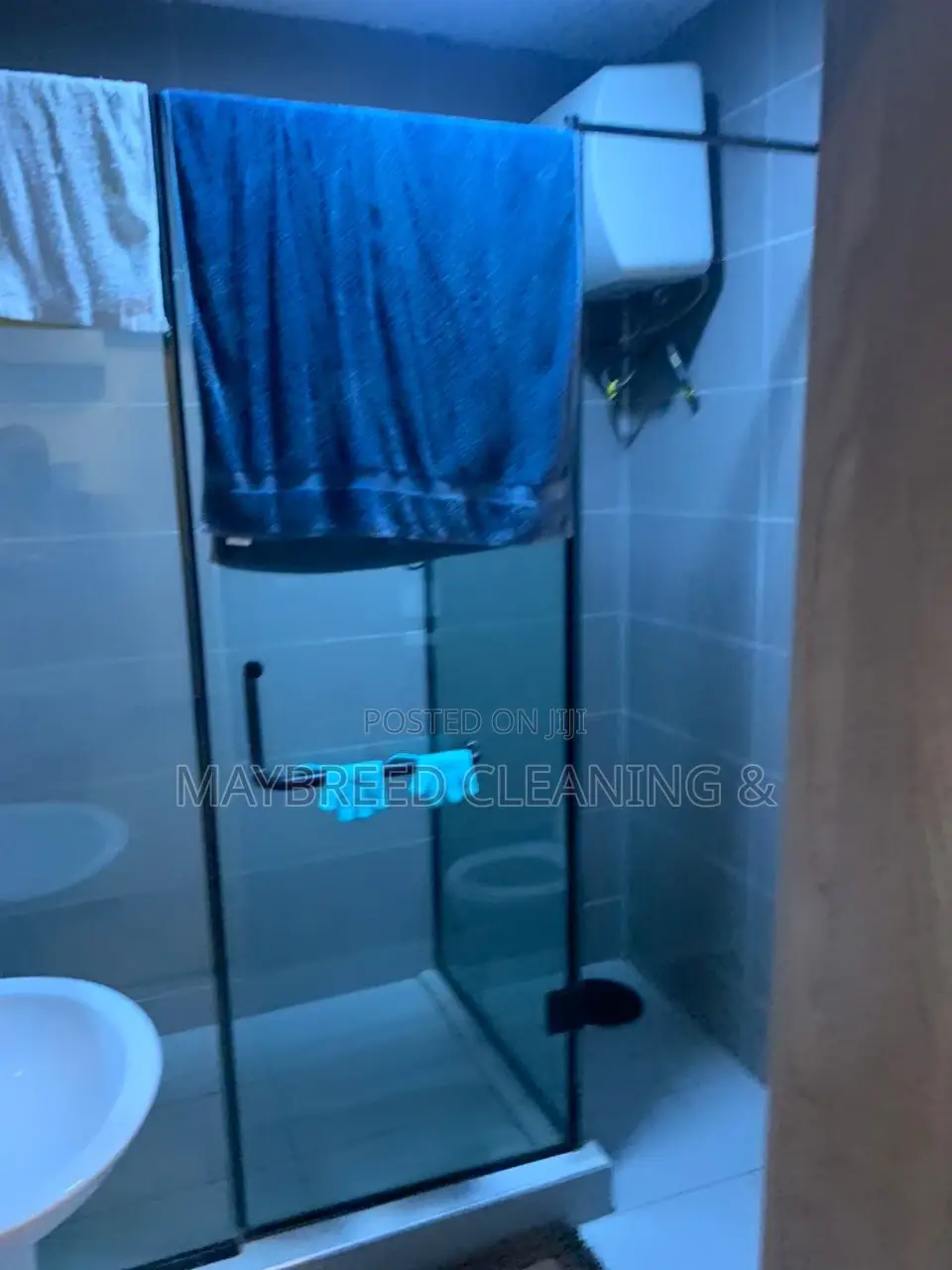 Professional House Cleaning Service
