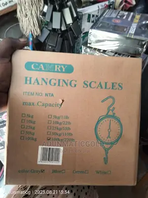 Hanging Scale