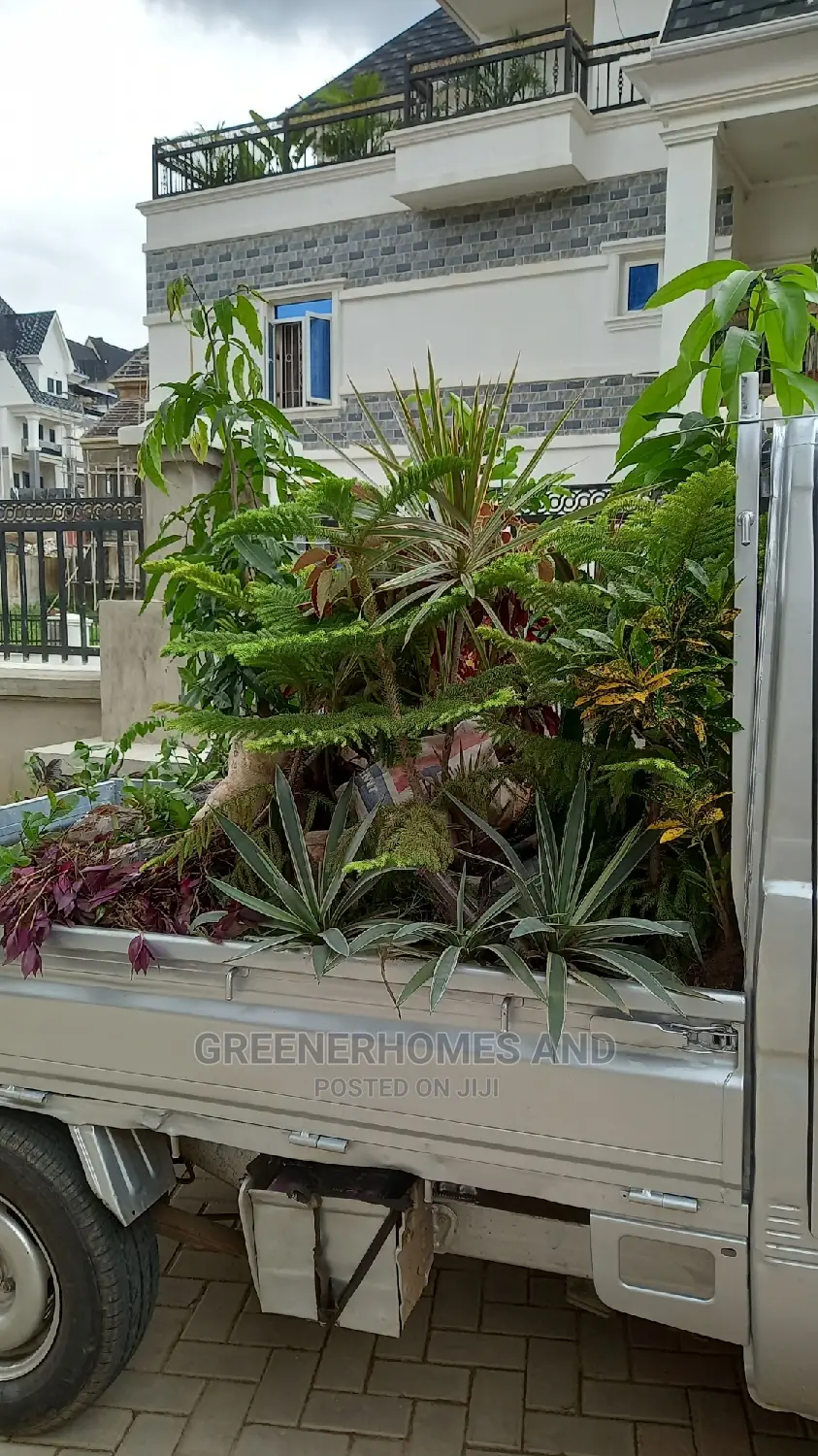 Plant Installation