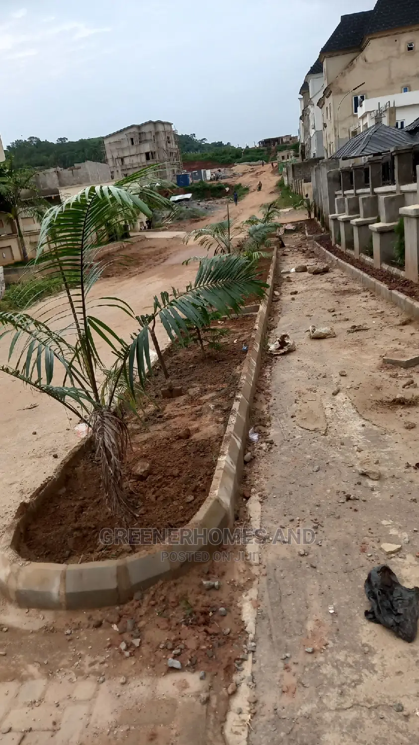 Plant Installation