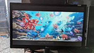 LG 27 Inches Ips 1080P Full HD Monitor. HDMI Colour Grading