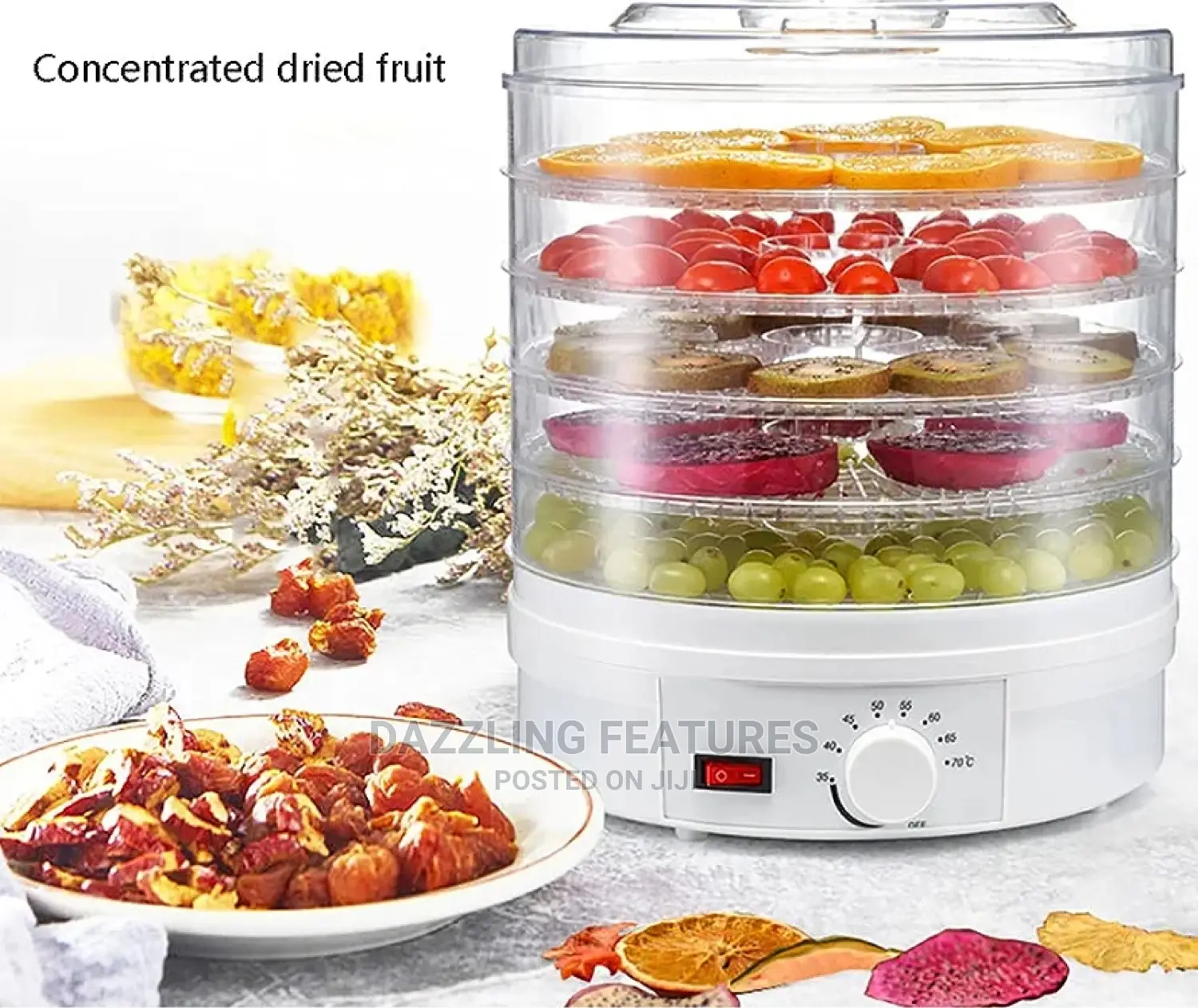5 Layers Food Dehydrator
