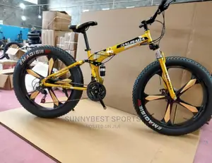 Big Tyre Bicycle + Free Gift Gym Groves