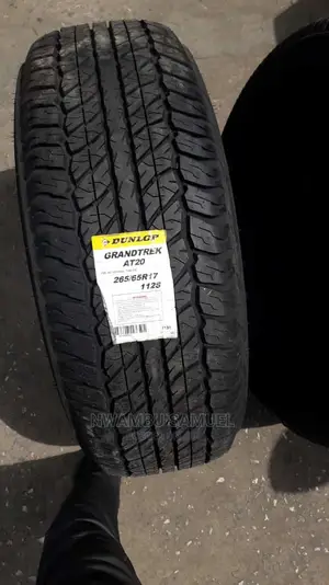 265/65r17 Dunlop Tyre