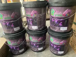 Double Design Paint