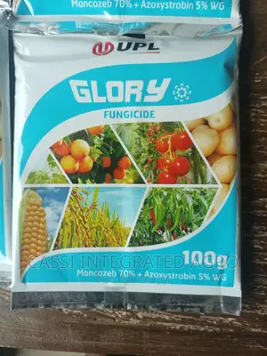 250g Lancer Insecticide