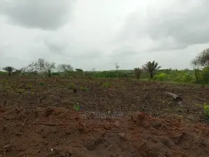 Acres of Land for Sale