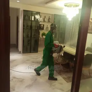 Beyond Imagination Cleaning,Upholstery Fumigation Service