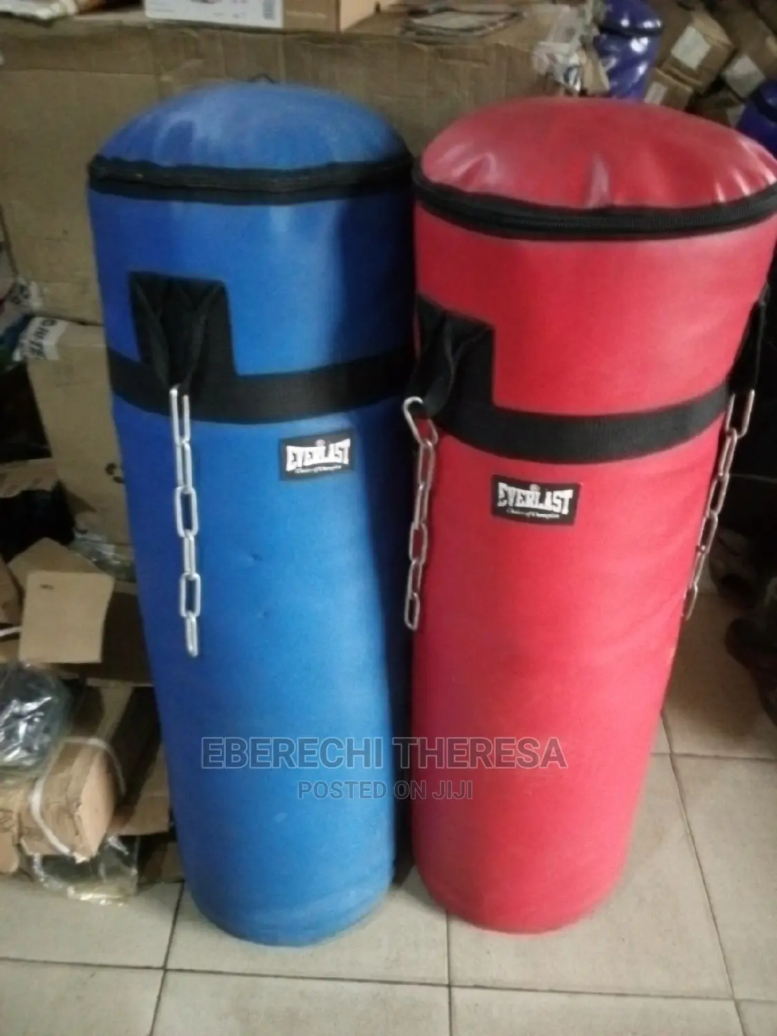 Biig Size Everlast Punching Bag