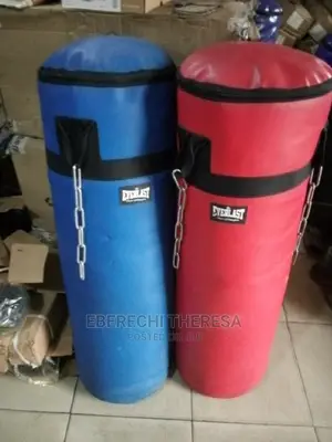 Biig Size Everlast Punching Bag