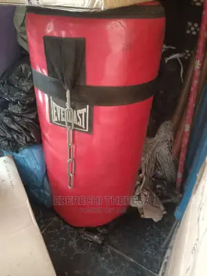 Big Size Everlast Punching Bag