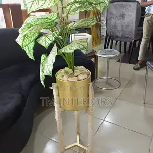 Tm Interiors Exclusive Decorative Items and Flowers Stands