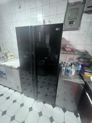 LG Side by Side Refrigerator Repair