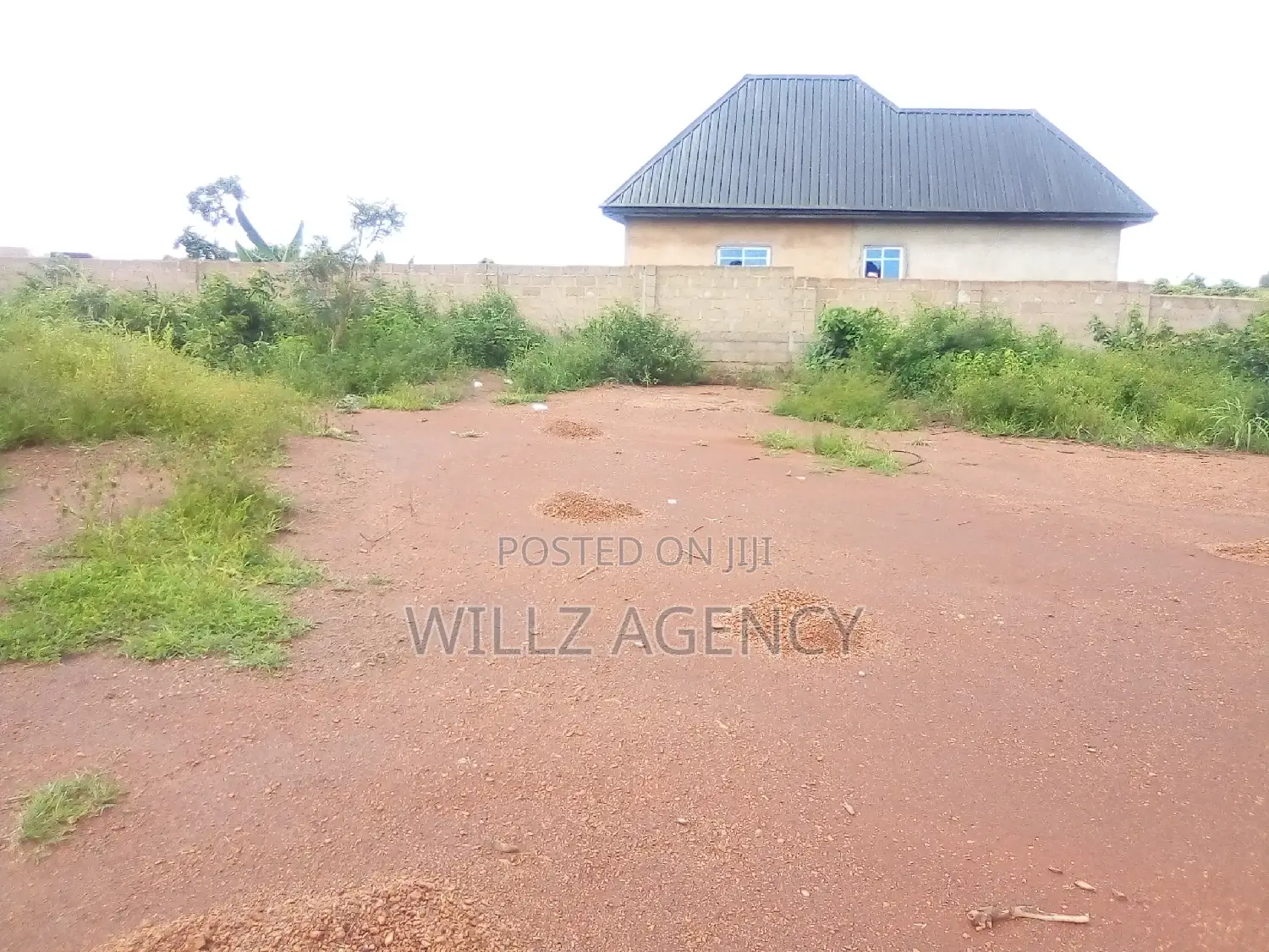 1 Plot of Land