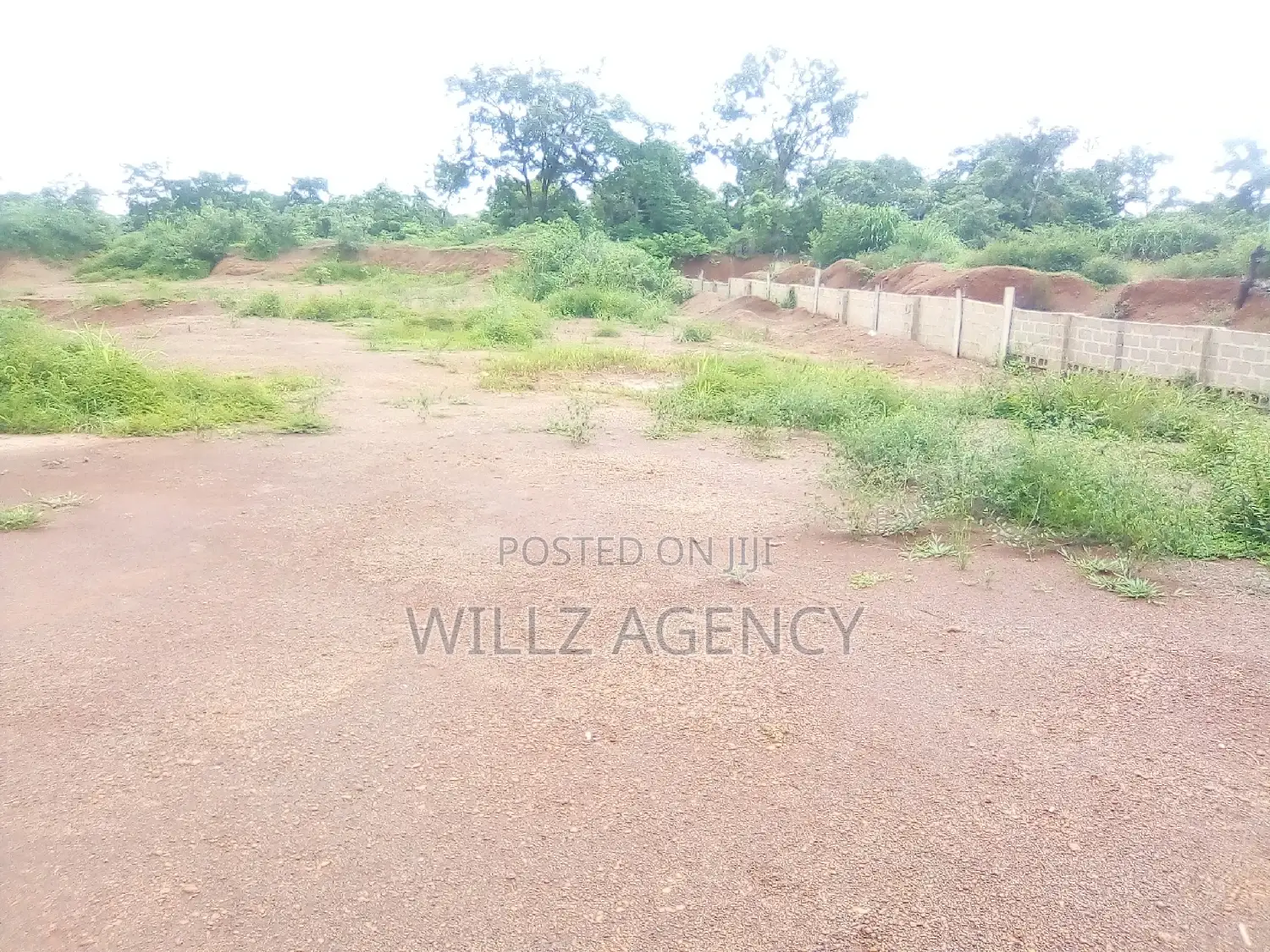 1 Plot of Land