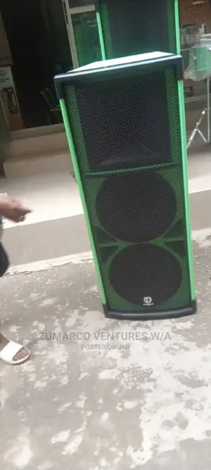 A Pair Standard Pro Acoustic Speaker. Heavy Duty