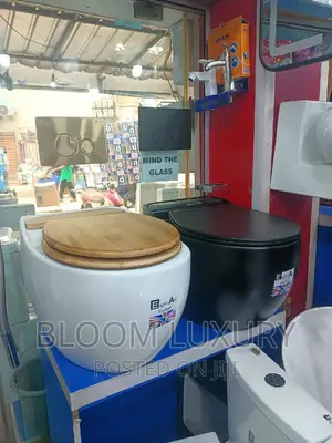 Egg Shape Wall Hung Conceal Toilet