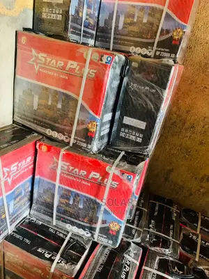 220 Arms Starplus Tubular Battery