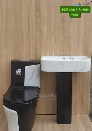 Executive Black and White Water Closet With Wash Hand Basin
