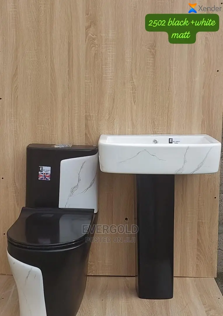 Executive Black and White Water Closet With Wash Hand Basin