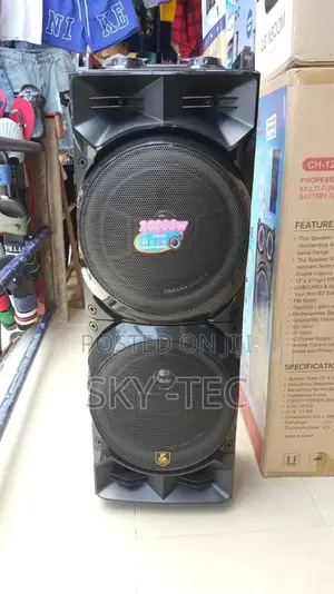 Original Pa System 20,000W 2handle Wireless Mic 12V Battery