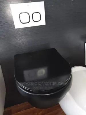 Black Colour Wall Hung Wc