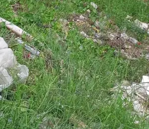 1113 SQM of Land With a Building on It at Opebi Road Ikeja