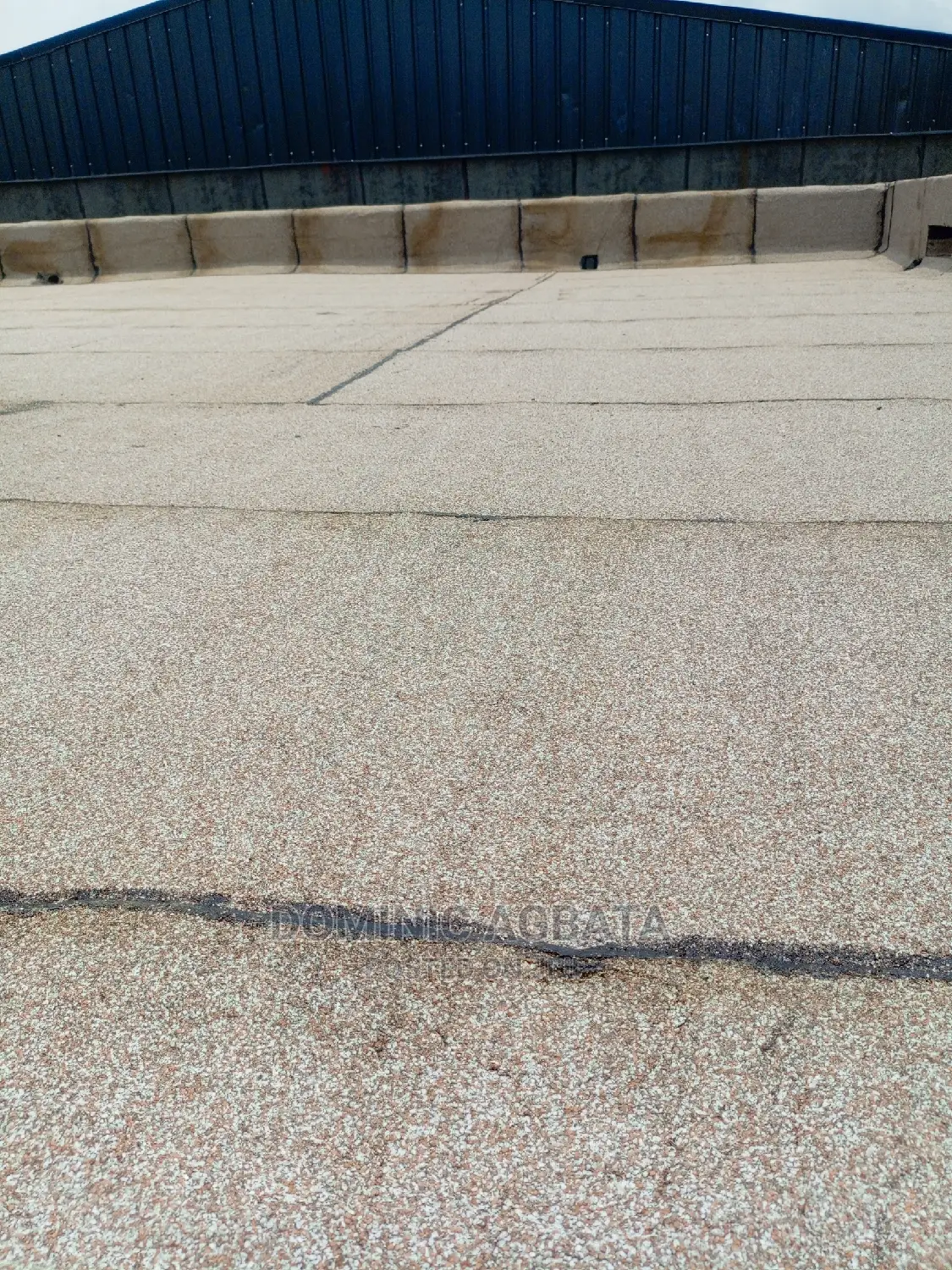 Veteran Felt Installer