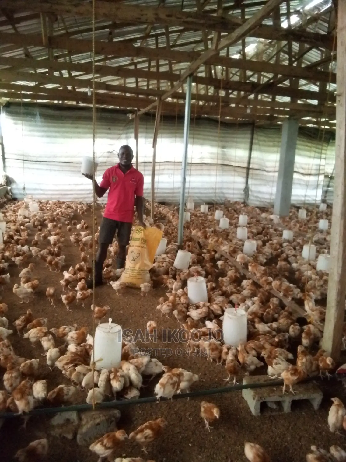 Farm Manager
